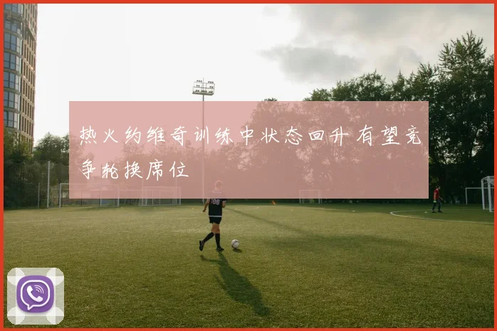 热火约维奇训练中状态回升 有望竞争轮换席位